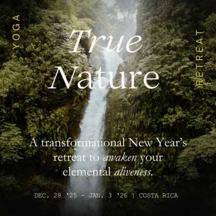 True Nature Jeremy Falk True Nature Jeremy Falk
