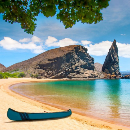 Embody Equanimity A Yoga Adventure Retreat