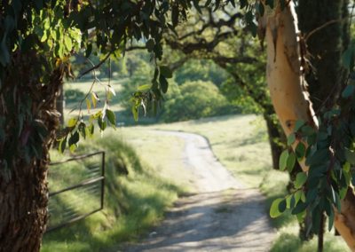 HAUM Website SAGRADA ()