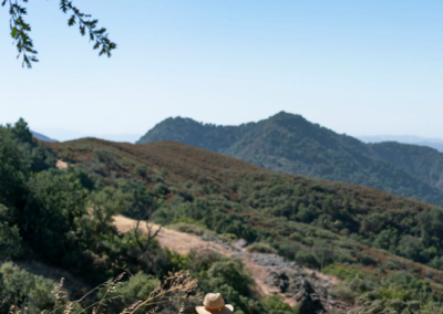 HAUM Website SAGRADA ()